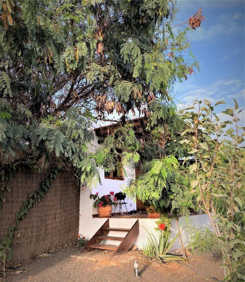 Cabanalanz, Cabanas En Lanzarote Сан-Бартоломе Экстерьер фото