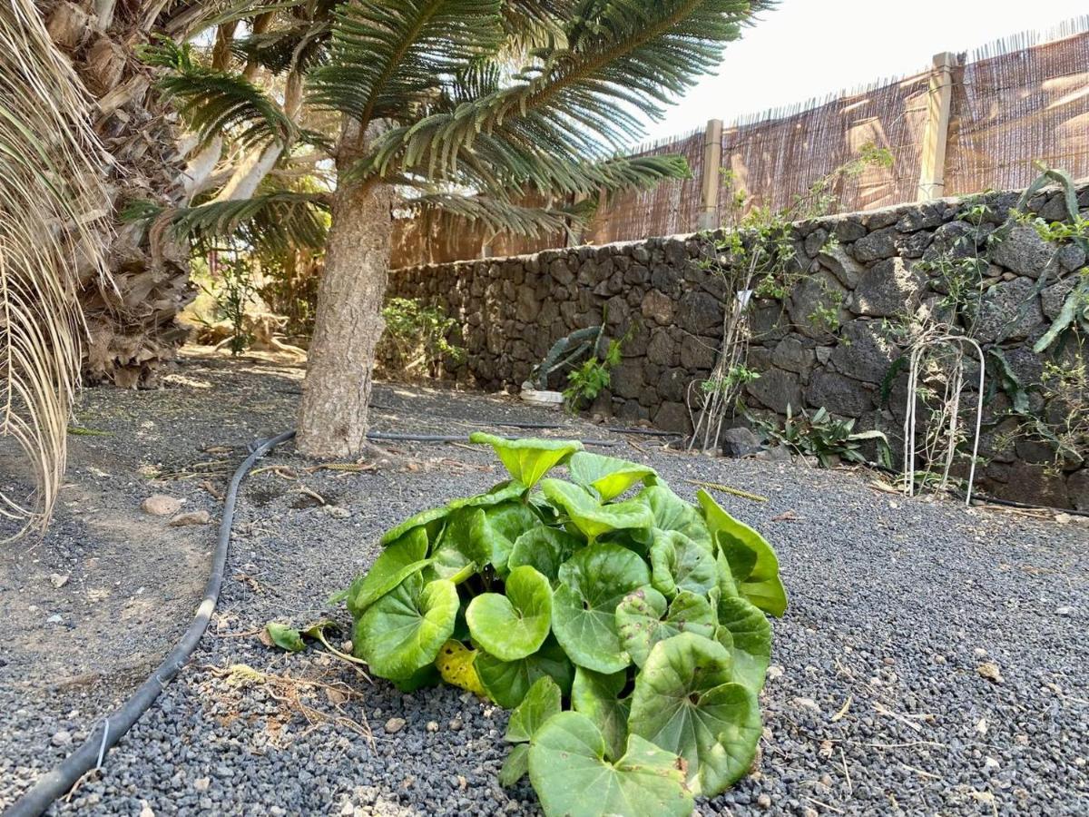 Cabanalanz, Cabanas En Lanzarote Сан-Бартоломе Экстерьер фото