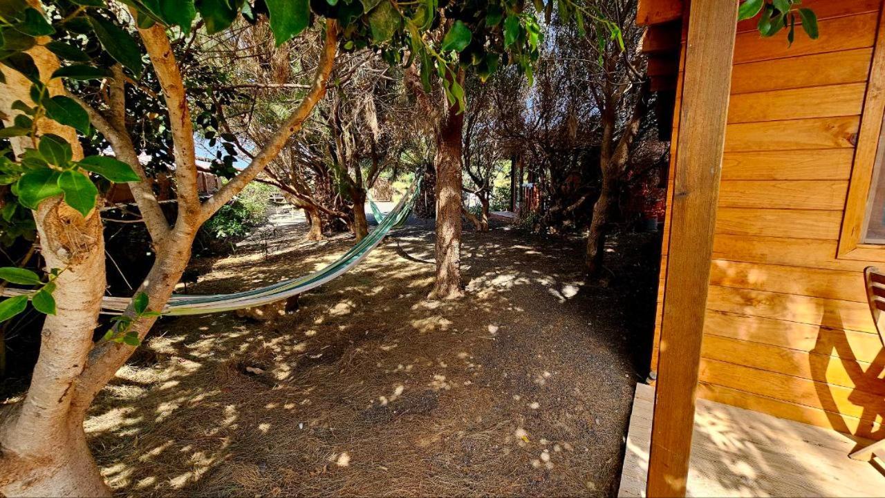 Cabanalanz, Cabanas En Lanzarote Сан-Бартоломе Экстерьер фото