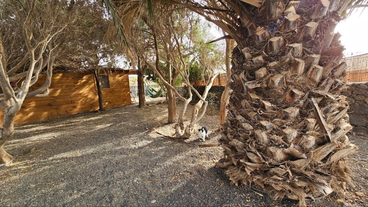 Cabanalanz, Cabanas En Lanzarote Сан-Бартоломе Экстерьер фото